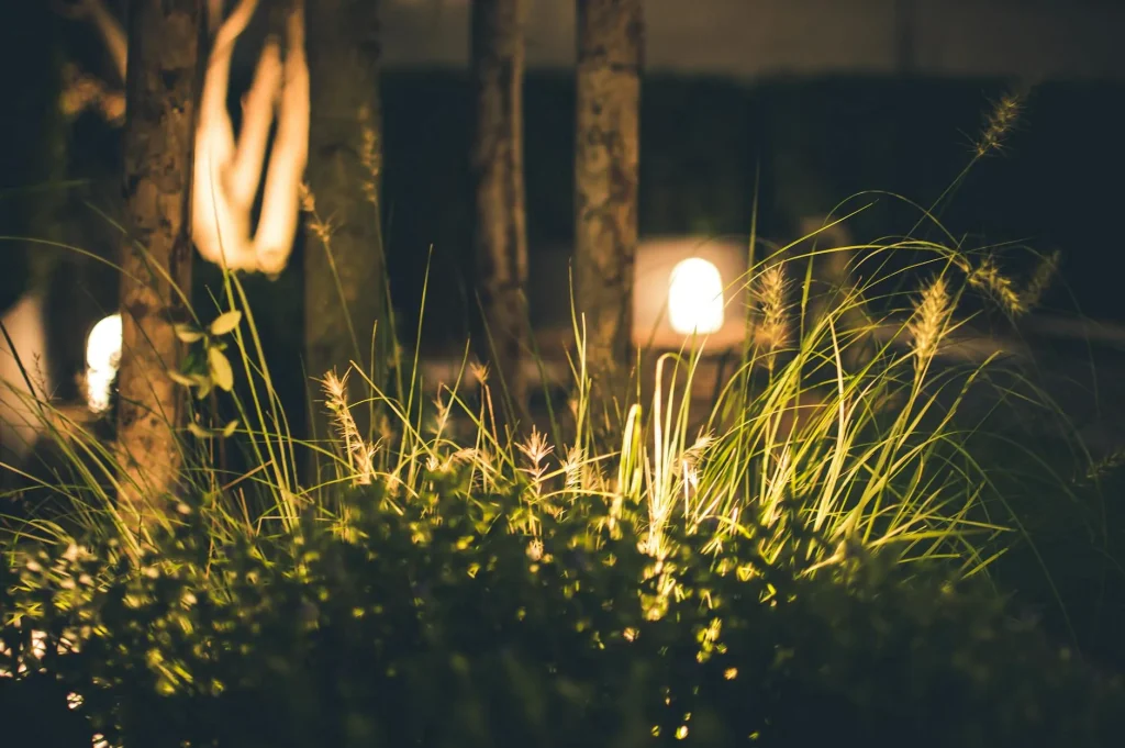 Hot tub with ambient lighting in a garden at evening