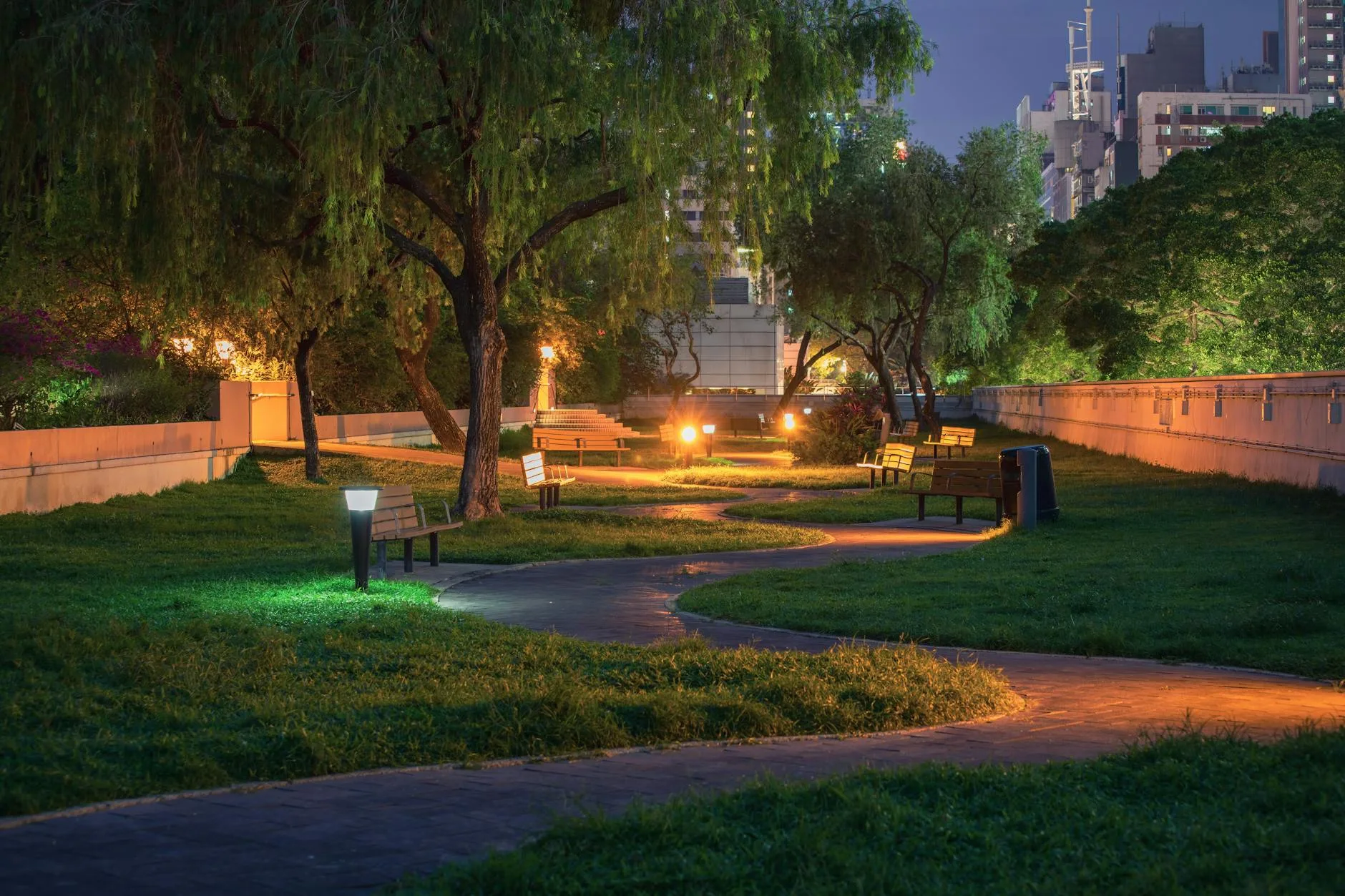 Solar pathway lights illuminating a garden path at night