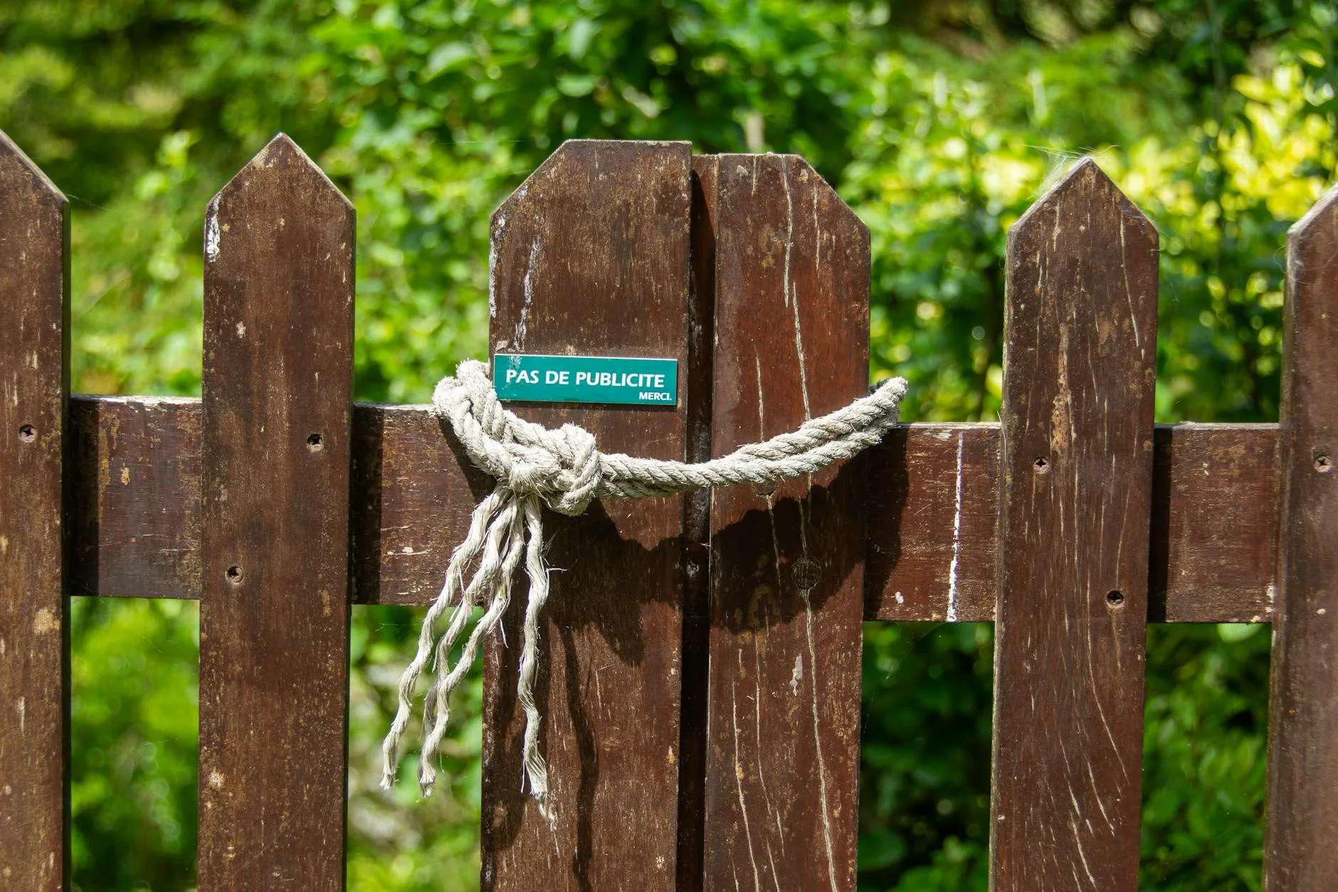 Wooden fence along a garden boundary for privacy